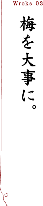 梅を大事に。「つくった家」